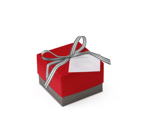 Bonita Caja Regalo con Tapa y Lazo Decorativo