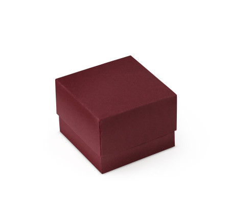 Bonita Caja Regalo con Tapa y Lazo Decorativo