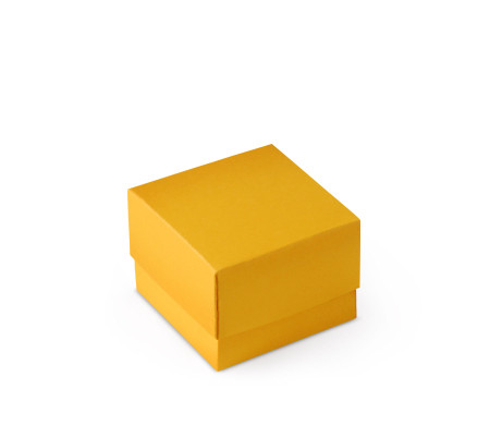Bonita Caja Regalo con Tapa y Lazo Decorativo