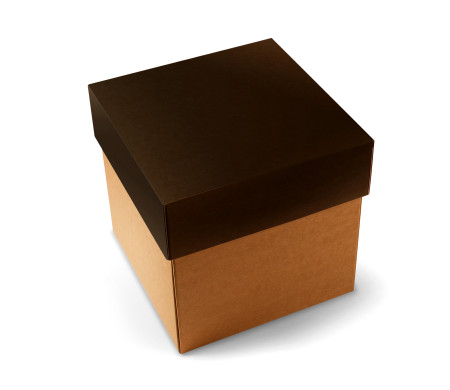 Caja para Envíos con Tapa Independiente