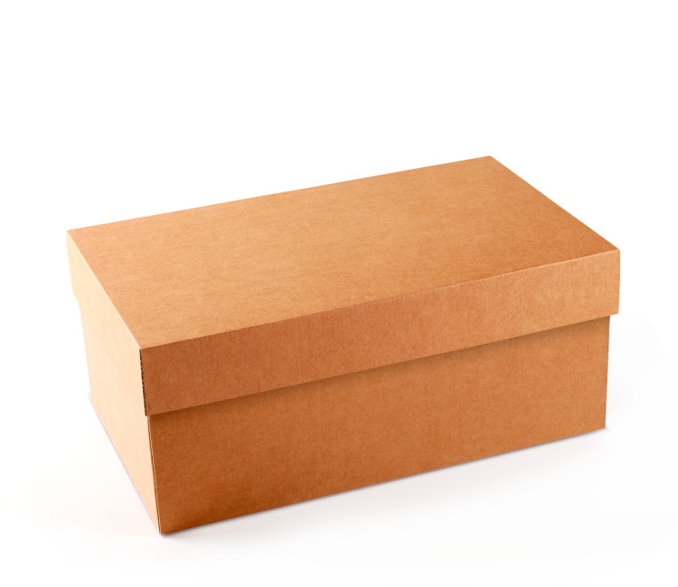 Caja para Zapatos ¡Organiza tu Calzado!