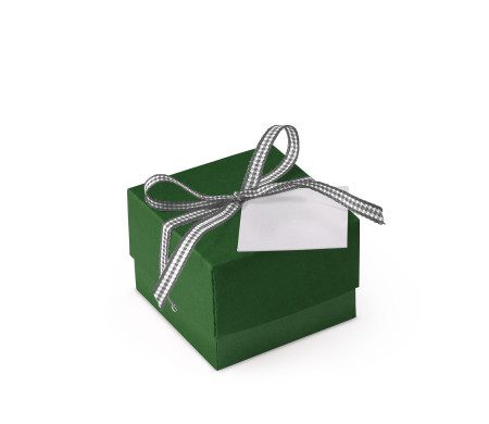Schöne Geschenkbox mit Deckel und Schleife