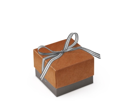 Bonita Caja Regalo con Tapa y Lazo Decorativo