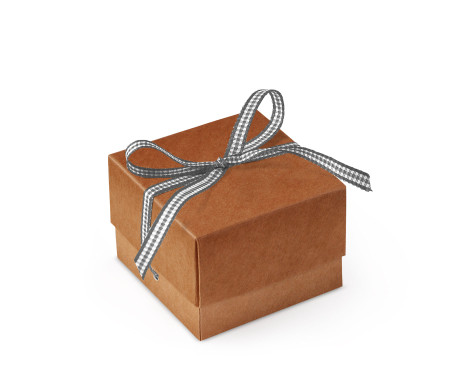 Bonita Caja Regalo con Tapa y Lazo Decorativo