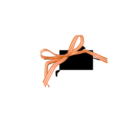 Jolie Boîte Cadeau avec Fermeture et Noeud Décoratif