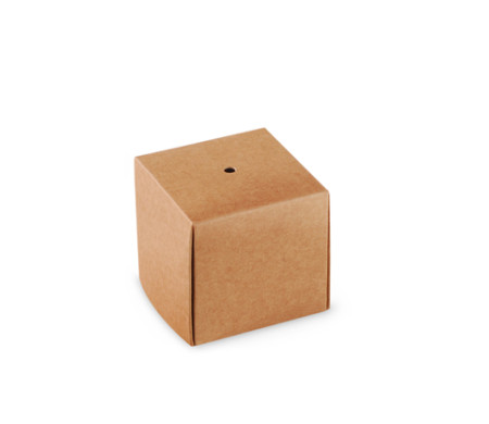 Caja Individual para Cake Pops