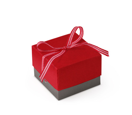 Bonita Caja Regalo con Tapa y Lazo Decorativo