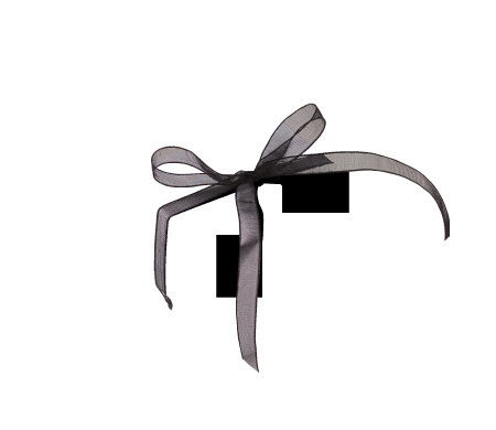 Bonita Caja Regalo con Tapa y Lazo Decorativo