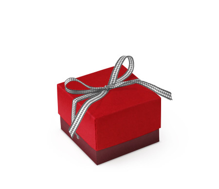 Bonita Caja Regalo con Tapa y Lazo Decorativo