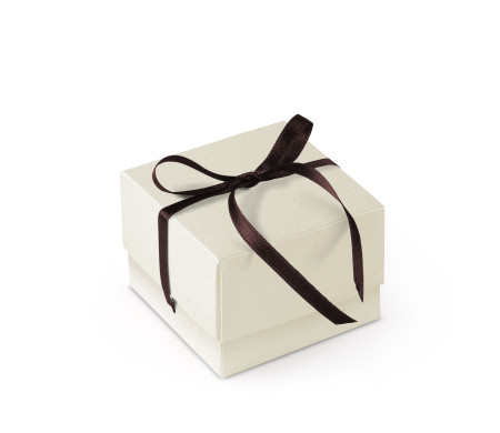 Schöne Geschenkbox mit Deckel und Schleife