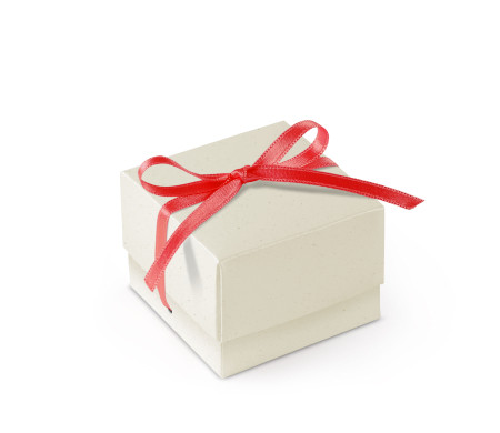 Schöne Geschenkbox mit Deckel und Schleife