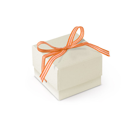 Bonita Caja Regalo con Tapa y Lazo Decorativo