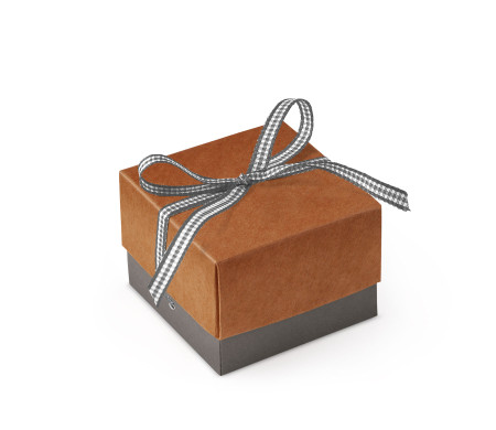 Schöne Geschenkbox mit Deckel und Schleife