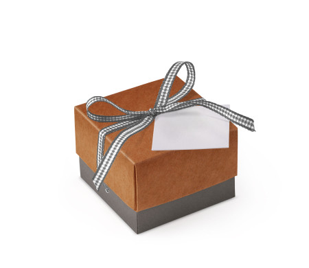 Bonita Caja Regalo con Tapa y Lazo Decorativo