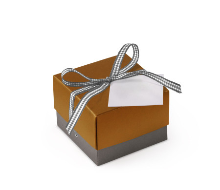 Schöne Geschenkbox mit Deckel und Schleife