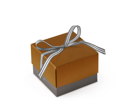 Graziosa Scatola Regalo con Coperchio e Fiocco Decorativo 