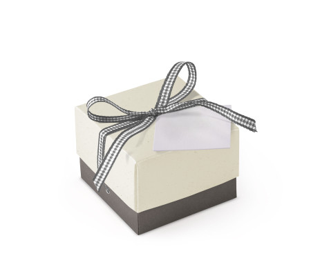 Graziosa Scatola Regalo con Coperchio e Fiocco Decorativo 