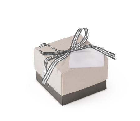 Bonita Caja Regalo con Tapa y Lazo Decorativo