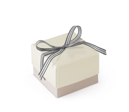 Schöne Geschenkbox mit Deckel und Schleife