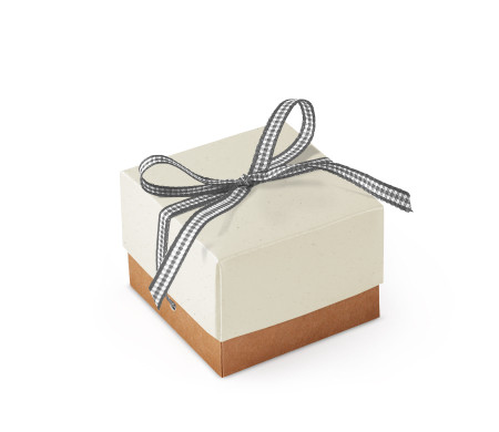 Bonita Caja Regalo con Tapa y Lazo Decorativo
