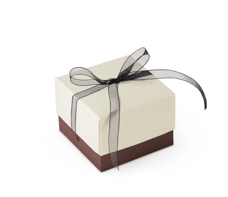 Bonita Caja Regalo con Tapa y Lazo Decorativo