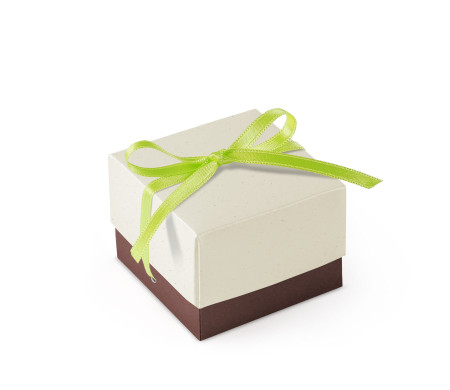 Bonita Caja Regalo con Tapa y Lazo Decorativo