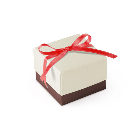 Bonita Caja Regalo con Tapa y Lazo Decorativo