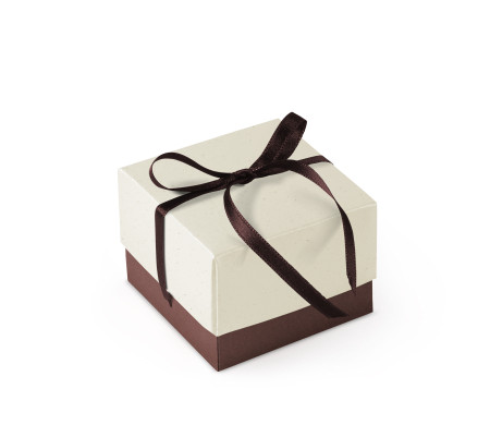 Bonita Caja Regalo con Tapa y Lazo Decorativo