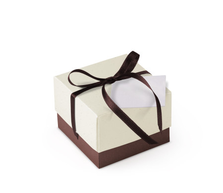 Bonita Caja Regalo con Tapa y Lazo Decorativo