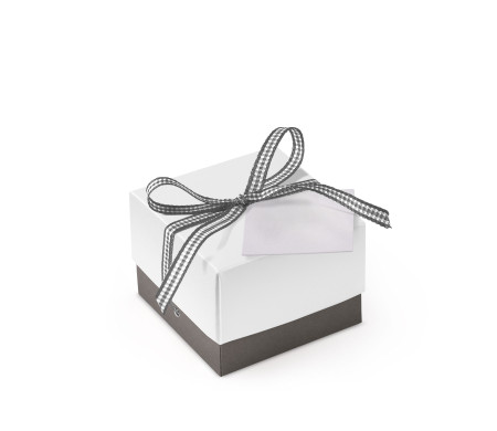 Bonita Caja Regalo con Tapa y Lazo Decorativo