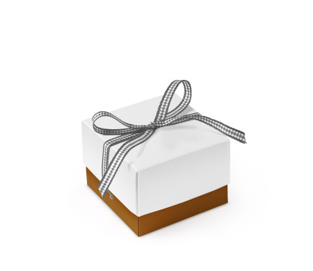 Jolie Boîte Cadeau avec Fermeture et Noeud Décoratif