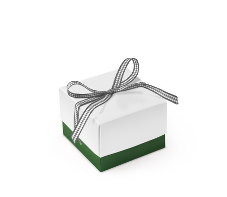 Bonita Caja Regalo con Tapa y Lazo Decorativo