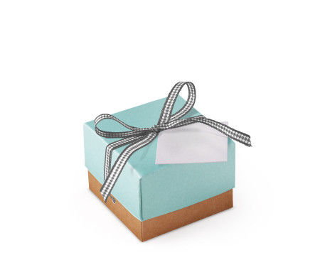 Bonita Caja Regalo con Tapa y Lazo Decorativo