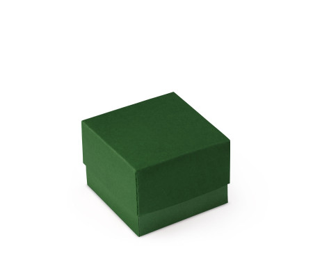 Bonita Caja Regalo con Tapa y Lazo Decorativo