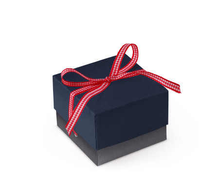 Graziosa Scatola Regalo con Coperchio e Fiocco Decorativo 