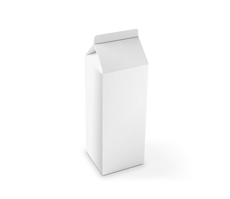 Boîte Cadeau en Forme de TetraBrik