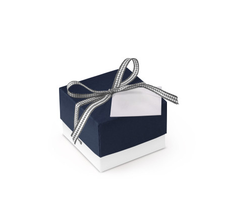 Bonita Caja Regalo con Tapa y Lazo Decorativo