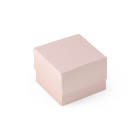Jolie Boîte Cadeau avec Fermeture et Noeud Décoratif