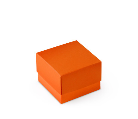 Bonita Caja Regalo con Tapa y Lazo Decorativo
