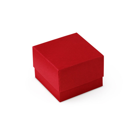 Bonita Caja Regalo con Tapa y Lazo Decorativo