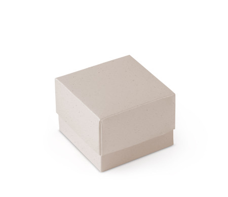 Schöne Geschenkbox mit Deckel und Schleife