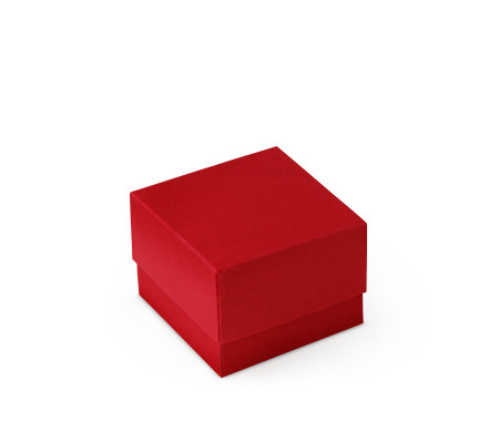 Schöne Geschenkbox mit Deckel und Schleife