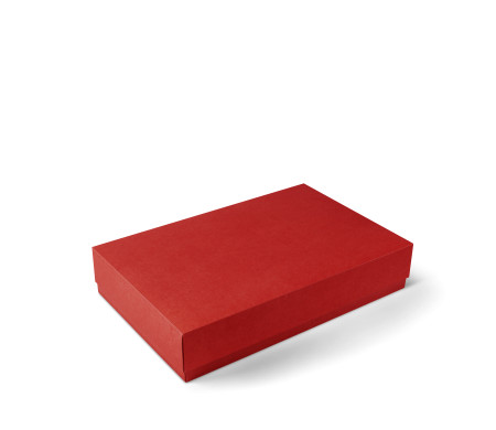 Boîte pour Chemises et Accessoires