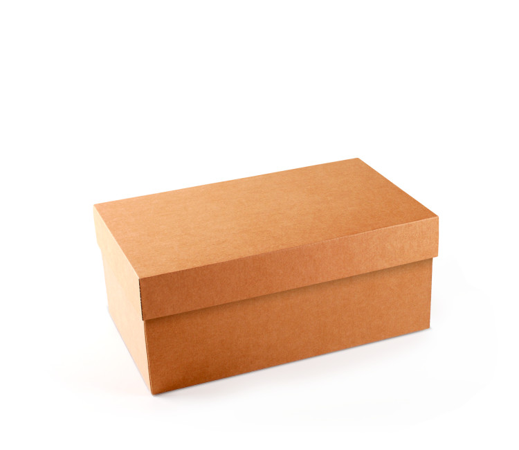 Caja para Zapatos ¡Organiza tu Calzado! Caja para Zapatos ¡Organiza tu Calzado!