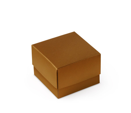 Bonita Caja Regalo con Tapa y Lazo Decorativo