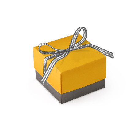 Schöne Geschenkbox mit Deckel und Schleife
