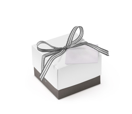 Bonita Caja Regalo con Tapa y Lazo Decorativo