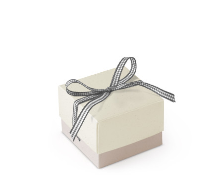Schöne Geschenkbox mit Deckel und Schleife