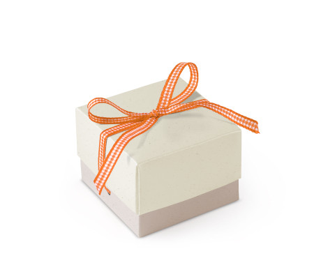 Schöne Geschenkbox mit Deckel und Schleife