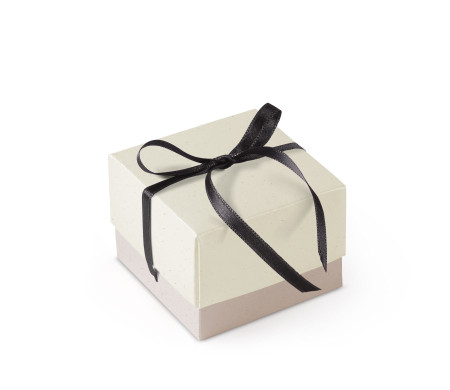 Schöne Geschenkbox mit Deckel und Schleife